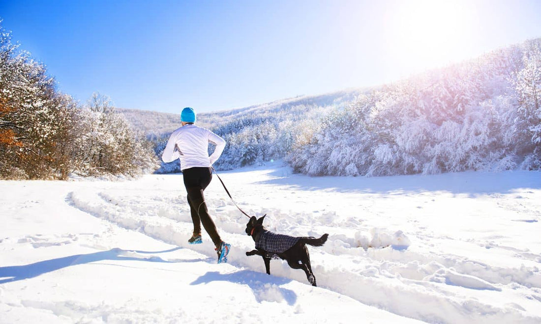 Person jogging with a dog in snowy landscape wearing best base layers for cold weather