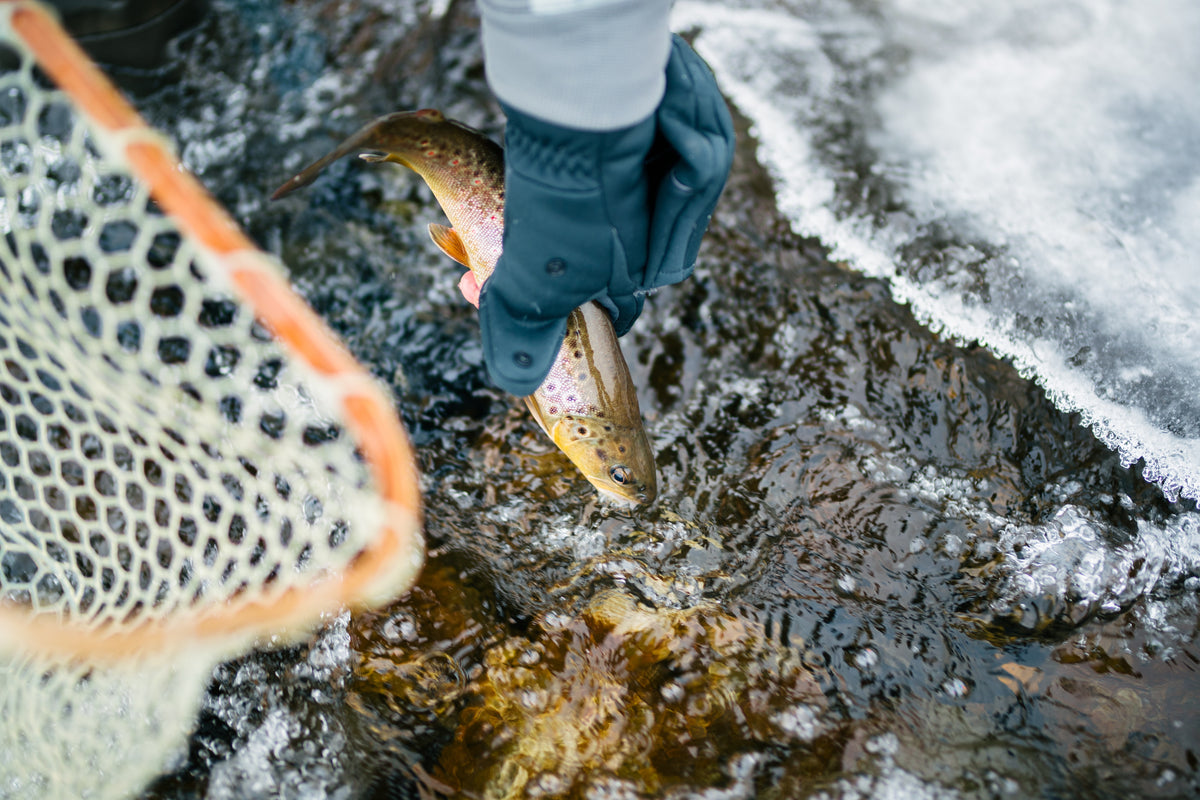 A fisherman catching a brown trout while practicing how to fish in cold weather