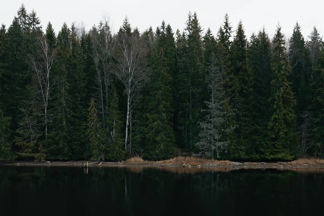 Scenic view of a calm lake surrounded by lush forests, ideal for discussing best budget technical base layers