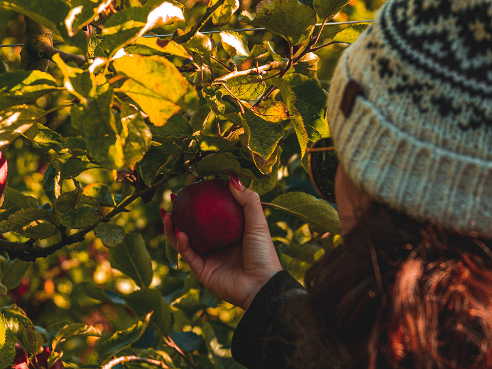 Image by Nico Krohn on UnSplash Woman picking apples